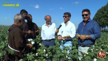 Dalla Coltivazione Del Cotone Alla Filatura, Alla Tessitura E Al Confezionamento – 26 Ottobre 2025