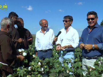 Dalla Coltivazione Del Cotone Alla Filatura, Alla Tessitura E Al Confezionamento – 26 Ottobre 2025