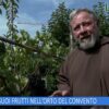 LA VITE E I SUOI FRUTTI NELLORTO DEL CONVENTO (Lorto Del Convento 4 Ottobre 2025)
