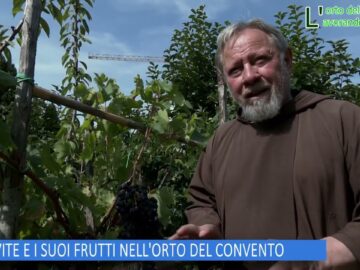 LA VITE E I SUOI FRUTTI NELLORTO DEL CONVENTO (Lorto Del Convento 4 Ottobre 2025)