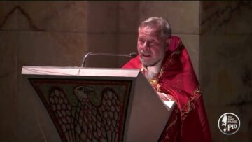 Lasciamo Operare Lo Spirito Santo Dentro Di Noi. (fra Rinaldo Totaro)