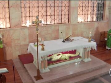 #Santa Messa – 18 Novembre 2020 ( Fr. Nicola Monopoli)