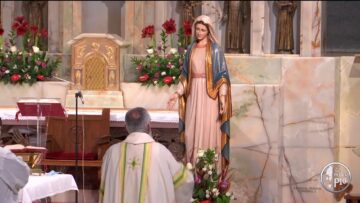 #Santa Messa – 3 Dicembre 2020