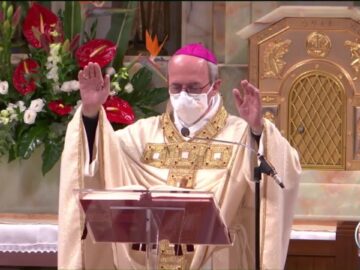 #SantoRosario #Santa Messa – 1 Novembre 2020 (mons . Franco Moscone)