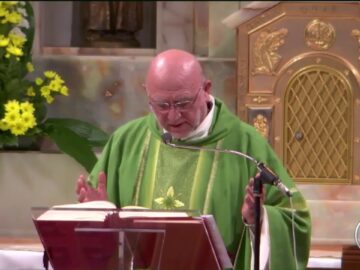 #SantoRosario #Santa Messa – 24 Ottobre 2020 (fr. Aldo Broccato)