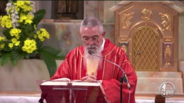 #SantoRosario #Santa Messa – 28 Ottobre 2020 (fr. Carlo M. Laborde)