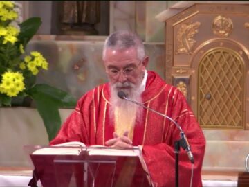 #SantoRosario #Santa Messa – 28 Ottobre 2020 (fr. Carlo M. Laborde)