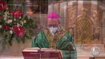 #SantoRosario #Santa Messa – 8 Novembre 2020 (padre Franco Moscone)