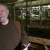 Caro Padre Pio, Aiuta Questa Mamma A Non Soffrire Per I Suoi Figli