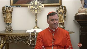 Papa Francesco E La Madonna