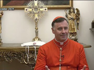 Papa Francesco E La Madonna