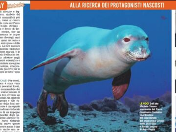 Quando Il Protagonista Vive Nascosto
